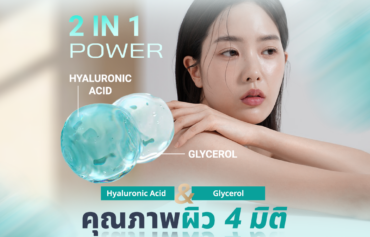 โปรแกรม REVIVE