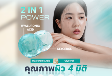 โปรแกรม REVIVE