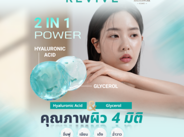 โปรแกรม REVIVE