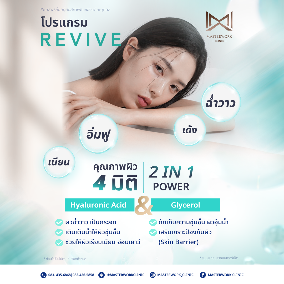 โปรแกรม REVIVE มีคุณสมบัติอย่างไร?